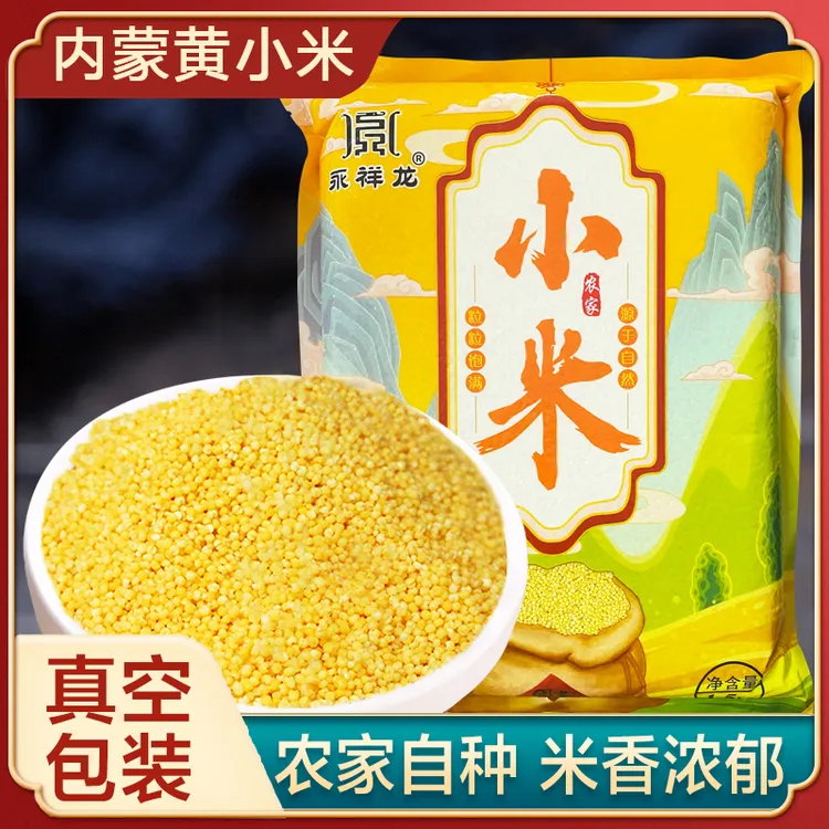 永祥龙25年内蒙小米大金苗黄小米饭粥农家特产月子米食用杂粮新粮
