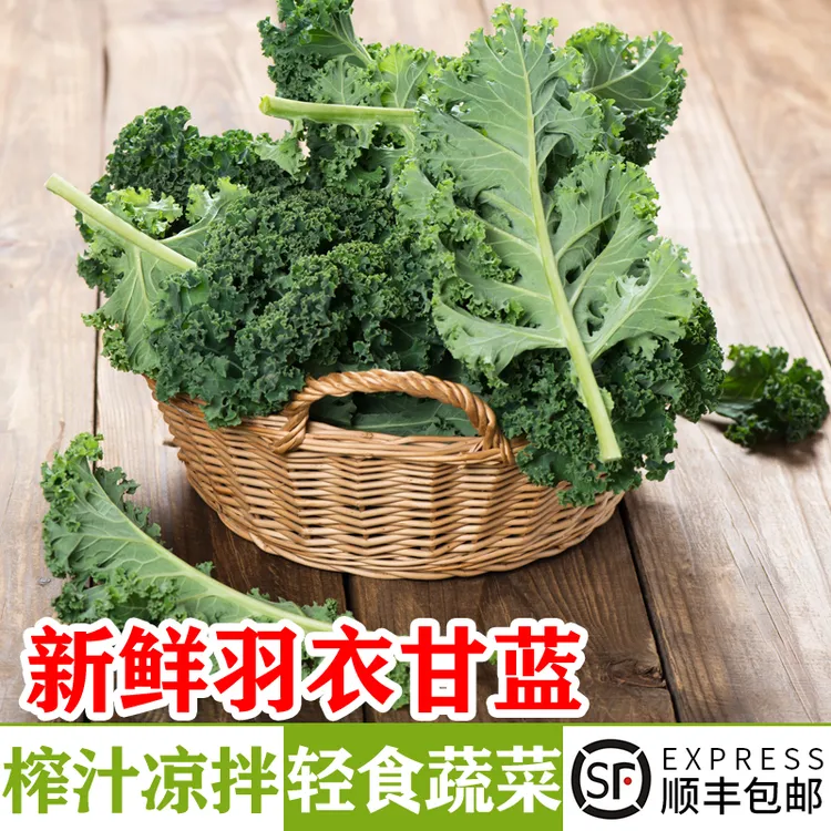 新鲜羽衣甘蓝 西餐凉拌沙拉蔬菜嫩叶甘兰kale健身轻食榨汁食材