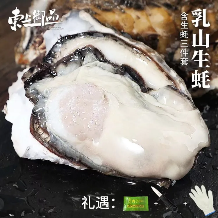 【东上御品】乳山生蚝4斤装含生蚝3件套（手套+小刀+芥末）