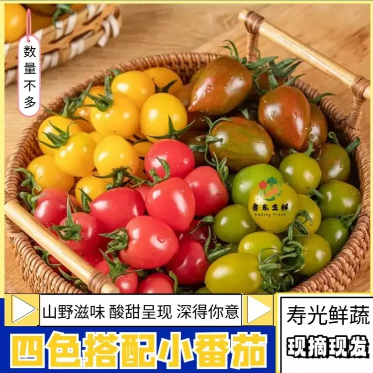 【顺丰包邮】寿光自然三色酸甜爆汁多彩新鲜小番茄圣女果汁水包赔
