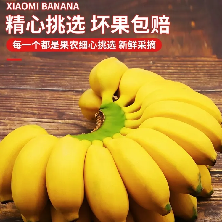 禁止焦虑越南河内苹果蕉芭蕉农家自种9斤装包邮新鲜生态自然四季