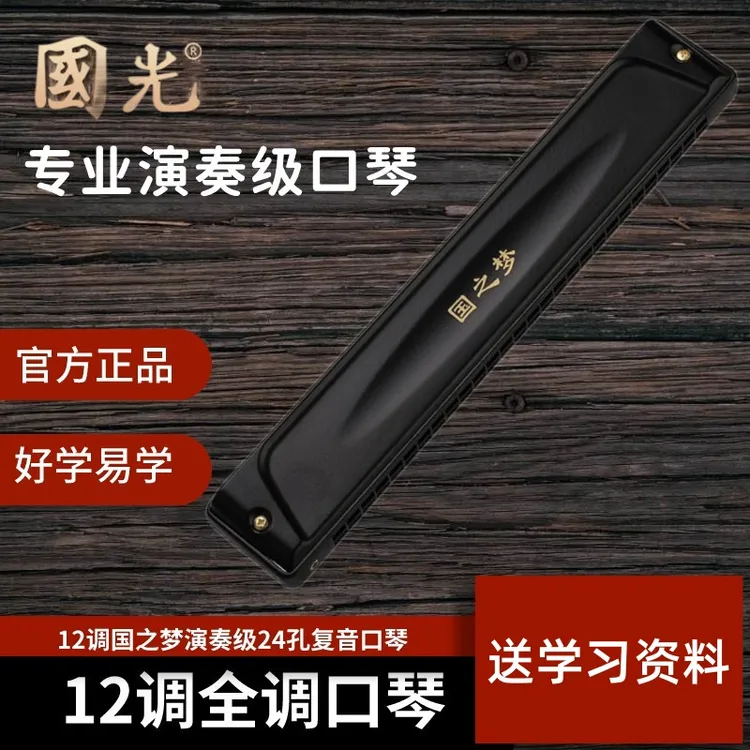 12个调演奏级【国之梦24孔复音口琴】双排吹奏复音口琴口琴成人用