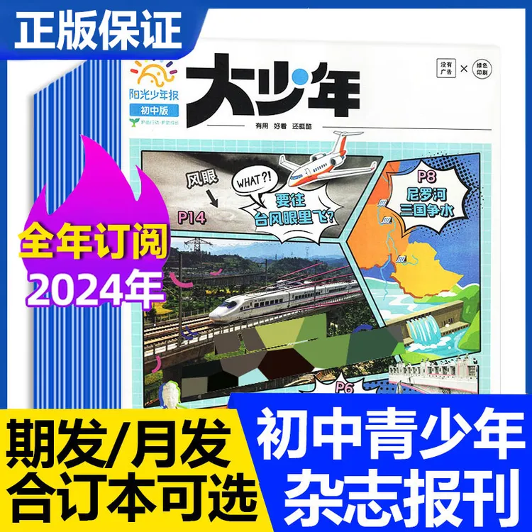 【开学季】大少年报纸 2024年全年杂志订阅期刊中小学新闻阳光少年