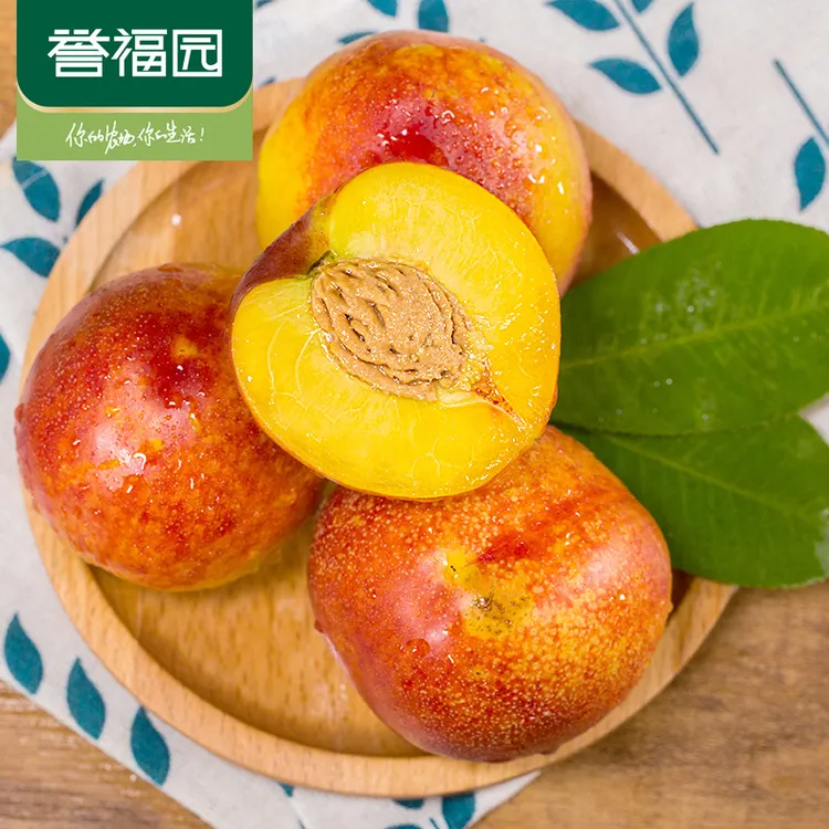 头茬黄心油桃新鲜采摘自然成熟产地直发脆甜桃子