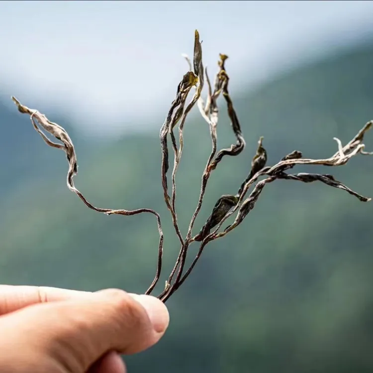 昊峰茶叶2023明前茶古树春茶(云南大叶种晒青毛茶)散装花蜜香绿茶