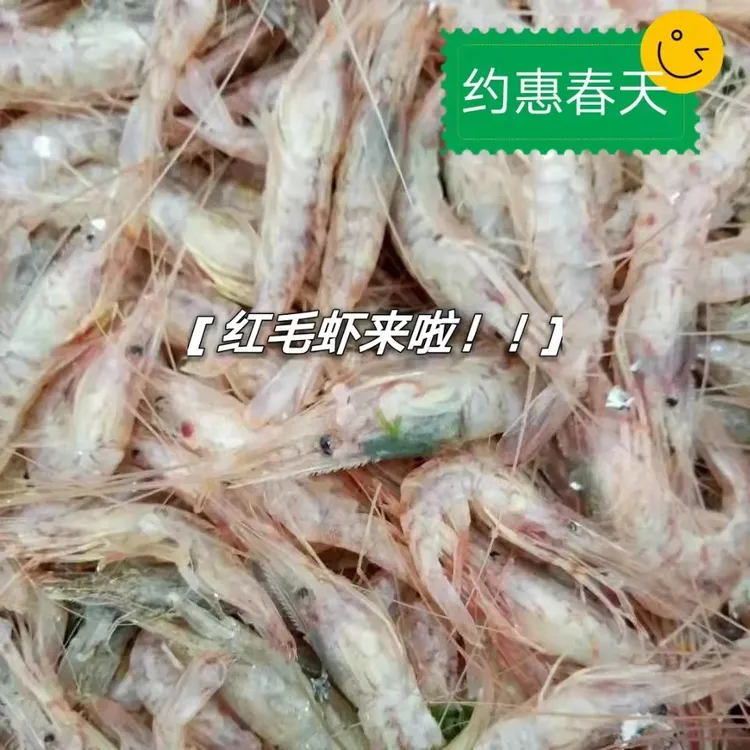 当潮水鲜红毛虾 如东红莽子 红芒子 炝虾 醉酒虾 季节性咨询购买