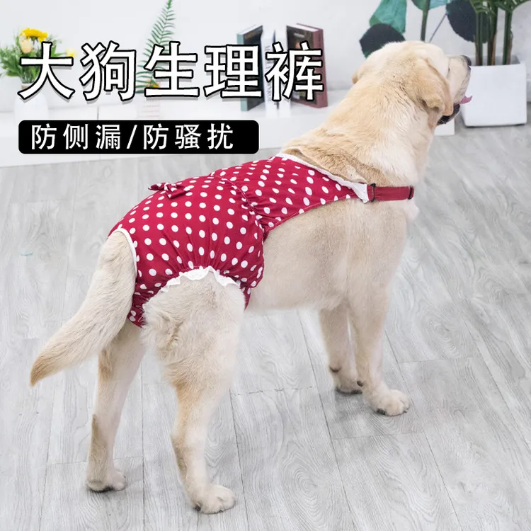狗狗生理裤拉布拉多金毛中大型犬母狗月经裤宠物防骚扰舒适安全裤