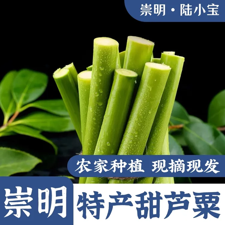 崇明甜芦粟芦稷高粱甜杆小甘蔗甜芦粟甜粟杆甜芦杆现摘现发2500g