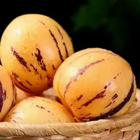 【只发新疆】 云南人参果  整箱2kg 清甜多汁 产地直采 新鲜到货