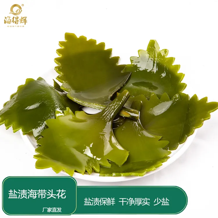 海得辉鲜嫩盐渍海带头花500g装厚实营养福建霞浦海洋水产批发凉拌
