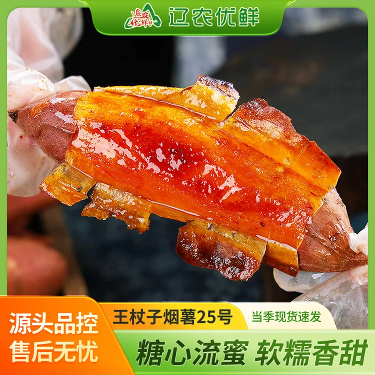 辽西朝阳王杖子蜜薯新鲜烟薯25沙地当季红薯糖心流油甜番薯烤地瓜