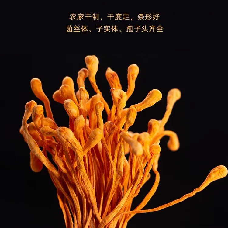 豪媳妇（高山虫草花）煲汤孢子头大虫草花干货手工采摘自然风干