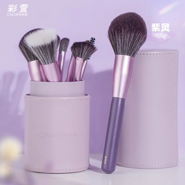 彩萱12支化妆刷套装便携化妆刷柔软初学者新手四季软毛超软套刷子