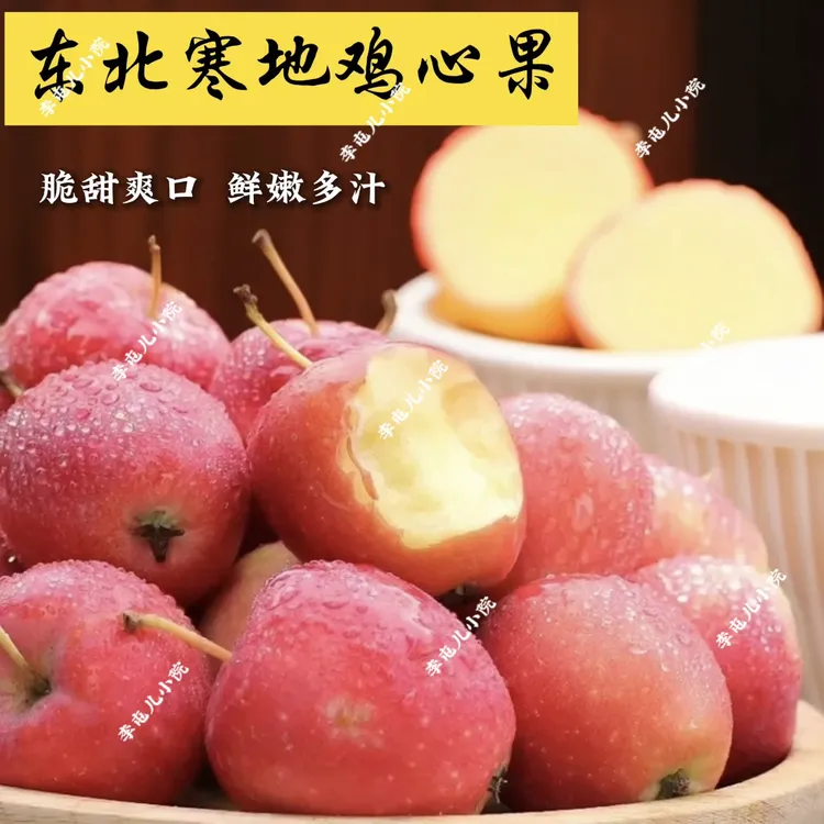 东北新鲜当季鸡心果（中，大果混发）