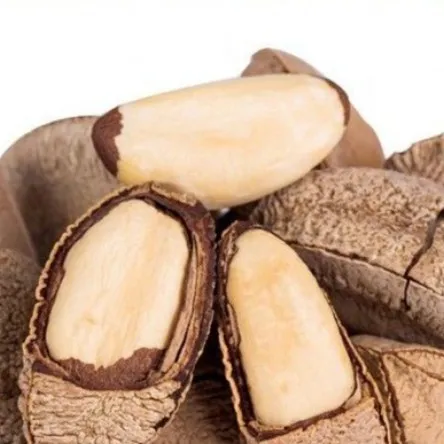 新鲍鱼果仁原味中秋500g巴西坚果仁散装沙漠果孕妇干果零食批发