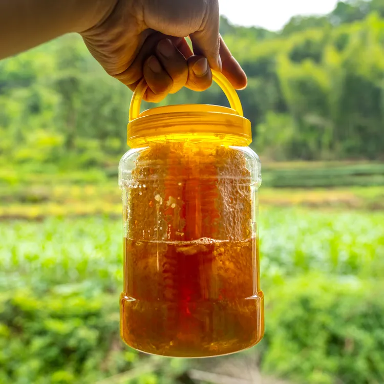 【滇货出山】云南盐津本土蜂蜜正宗生态蜂糖1斤起含菜花糖
