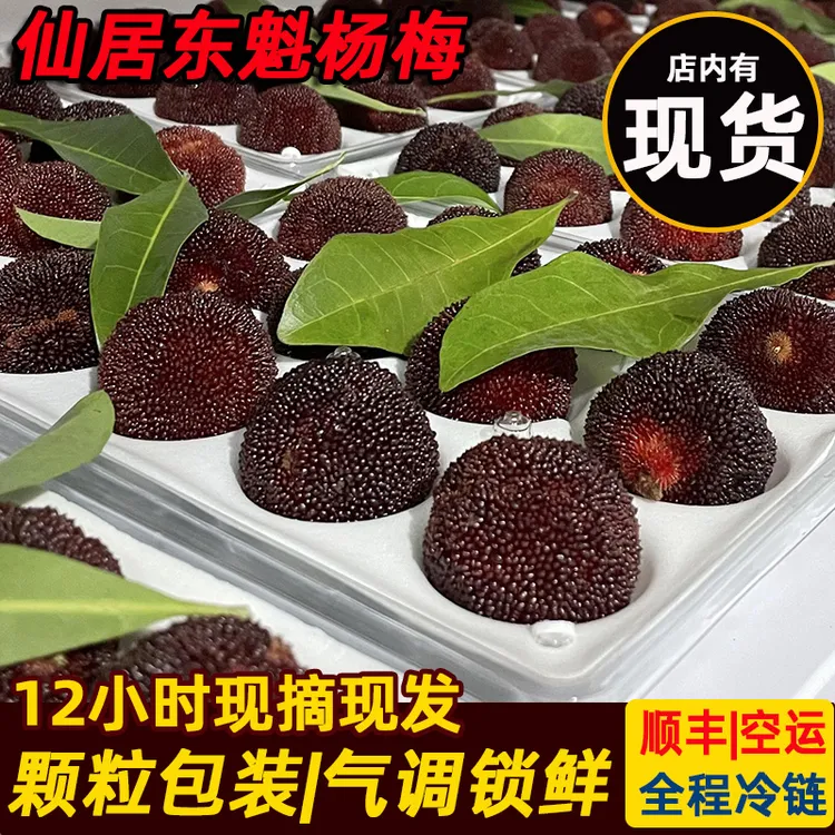 【现货】特价大棚仙居东魁杨梅特产大新鲜孕妇水果现摘现发鲜水果