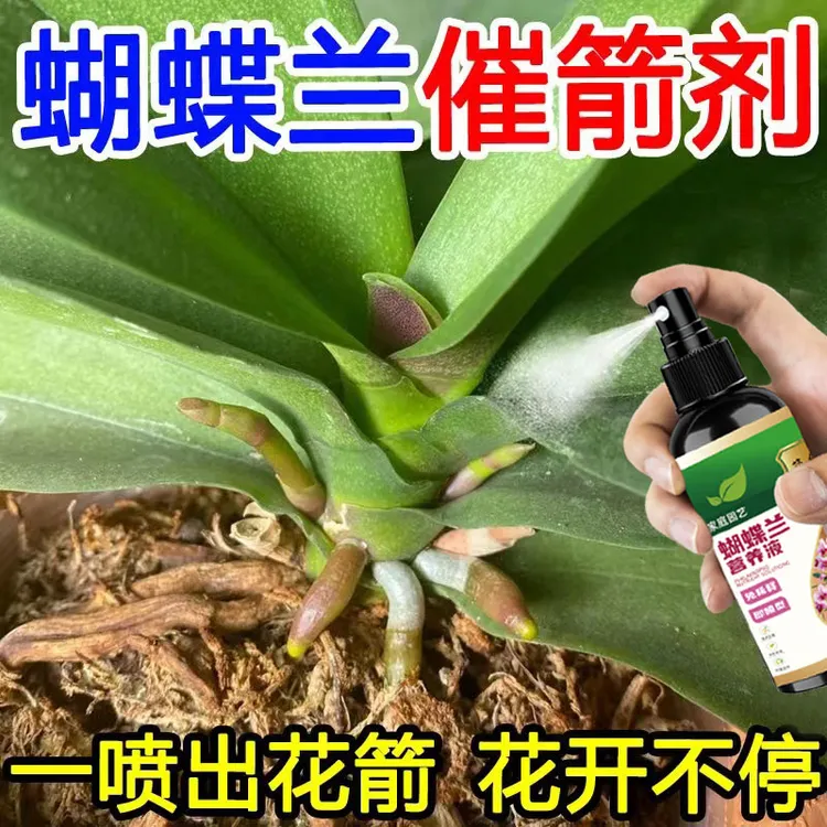 【猛出花箭】蝴蝶兰专用营养液促花剑开花肥兰花盆栽免稀释专用肥
