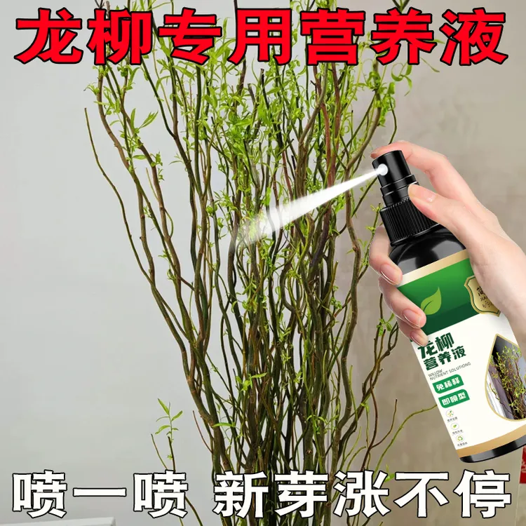 龙柳干枝营养液专用促芽水培催花叶子发黄发芽稀释叶面专用营养液