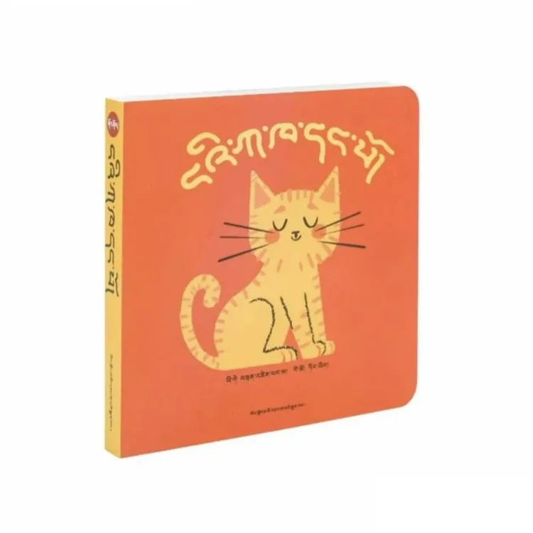 我的第一本藏文字母书；藏语 藏文字母30