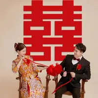 FDD超大结婚喜字大全 婚房装饰大门一套 绒布窗花剪纸婚礼