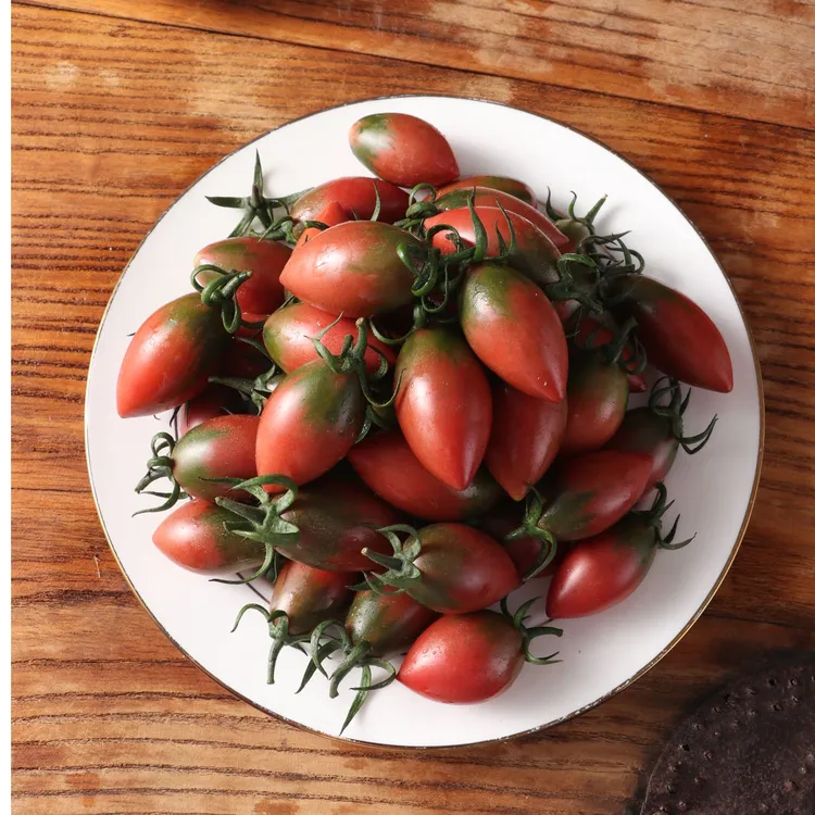 紫弹头小番茄黄色圣女果新鲜樱桃西红柿孕妇水果蔬菜酸甜多汁美味
