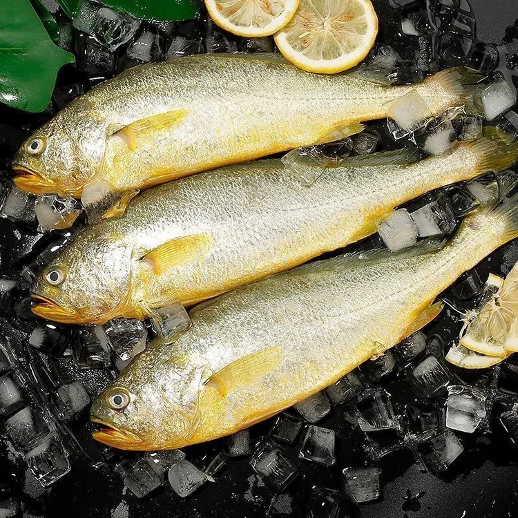 【顺丰发货】新鲜黄鱼段去头去内脏250g/包