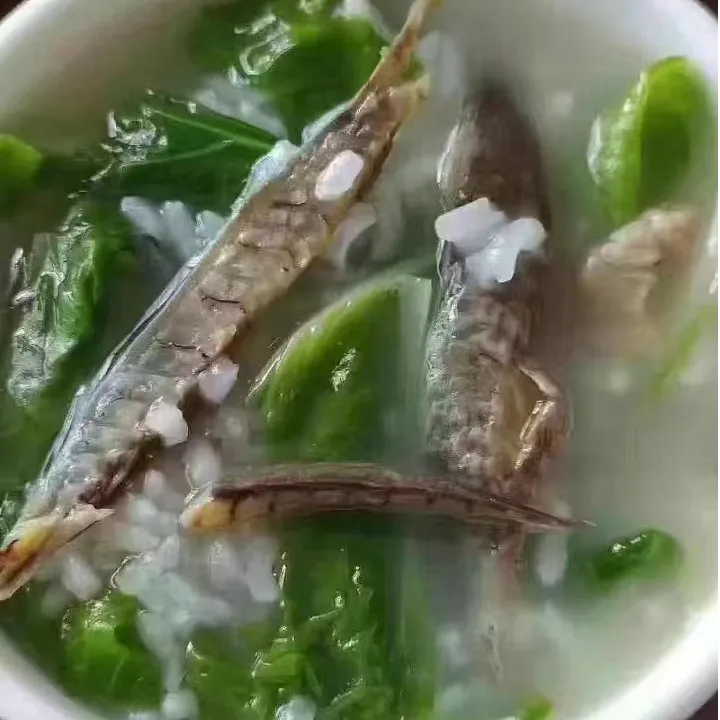 闽南巴浪鱼美味即食煮稀饭