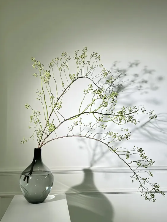 蔷薇果绿色山归来鲜切枝鲜花观果植物鲜切花水养新鲜插花水培绿植