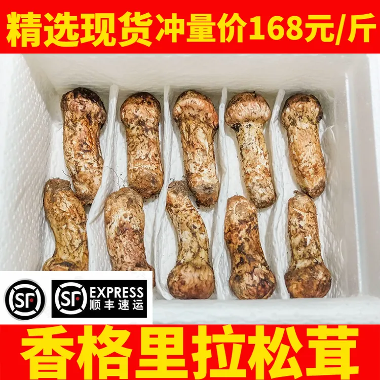 【顺丰】现货新鲜香格里拉松茸菌鲜松茸云南菌子特产500g采摘