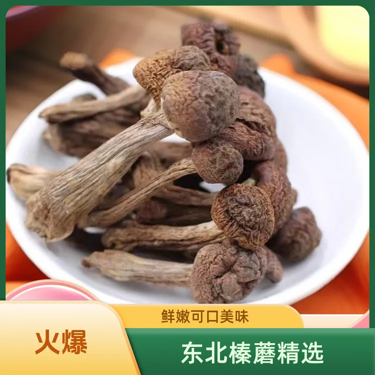 东北野生榛蘑丁 净根 净重 新榛蘑精选好吃
