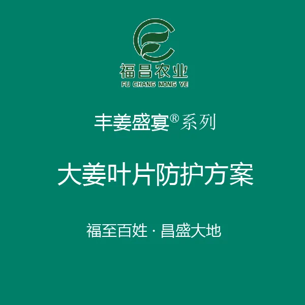 丰姜盛宴生姜叶片防护方案 虫害 蓟马 青虫 炭疽 叶斑 叶片修复