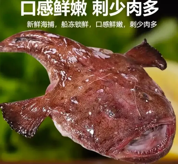 连云港发货 安康鱼 蛤蟆鱼 清理好后7斤左右 去内脏 留肝留肚