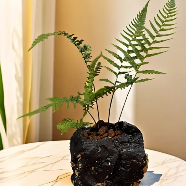 石头花盆奇石花盆鱼缸客厅庭院天然观赏摆放自然