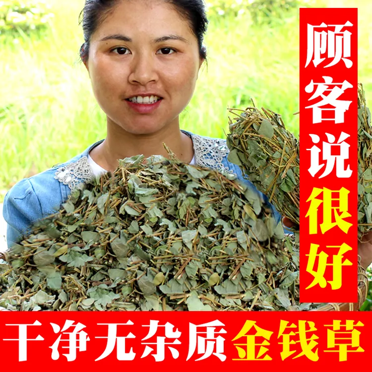 金钱草不打硫磺。挑选干净新鲜的大叶金钱草500g