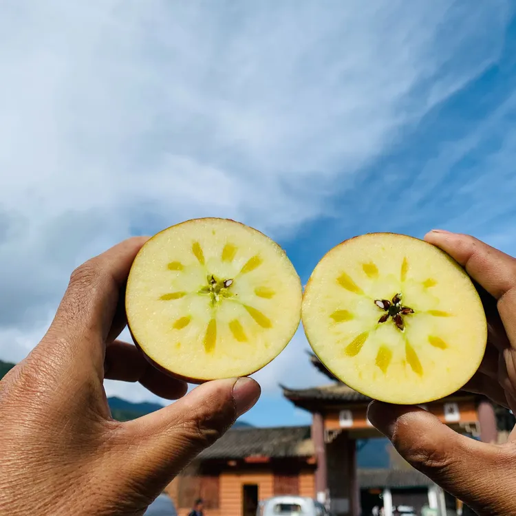 和西八专属丽江宁蒗小凉山糖心丑苹果红富士