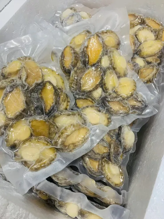 去壳去肚鲜冻鲍鱼肉