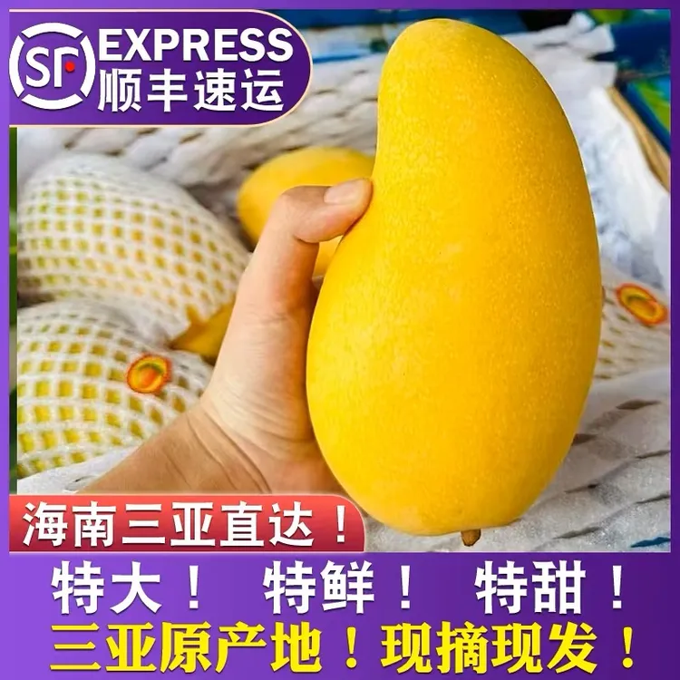 【树熟金煌芒】海南直发 水仙芒 大青芒 皮薄肉厚5/8斤新鲜热带水果