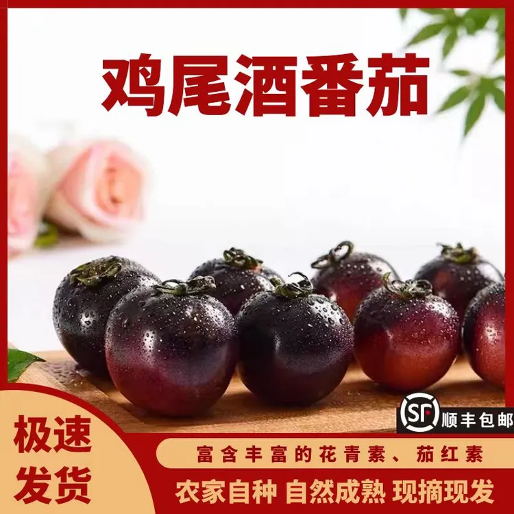 鸡尾酒番茄  新鲜水果黑番茄珍珠小番茄花青素茄红素顺丰1斤5斤