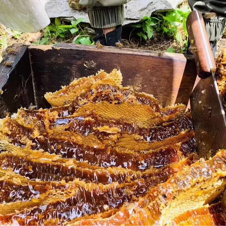 神农架高山百花蜜