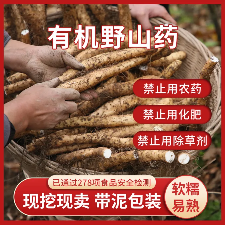 【壹粒实安】有机野山药五斤