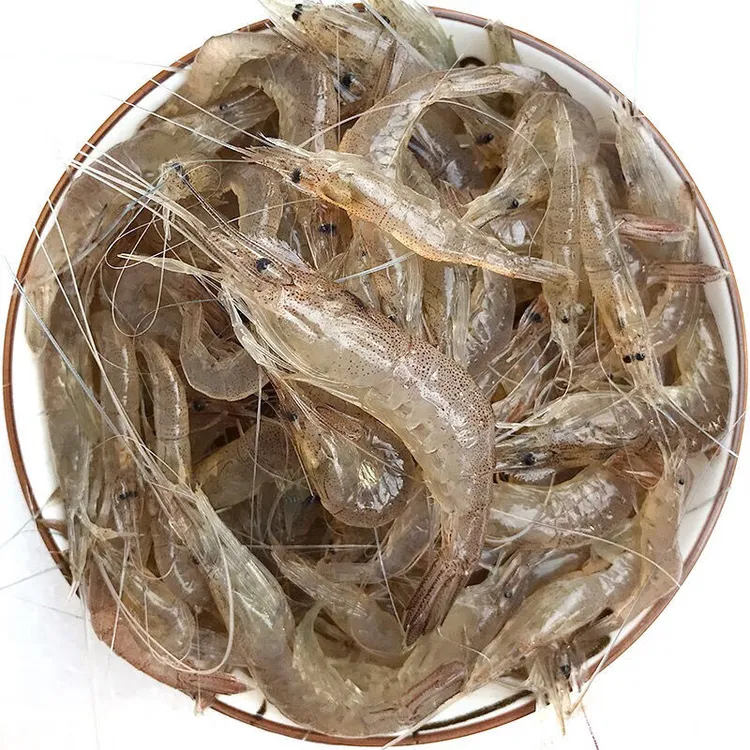 【粉丝】小白虾 速冻山东和 连云港两仓直发 200G*7包摆盘水冻
