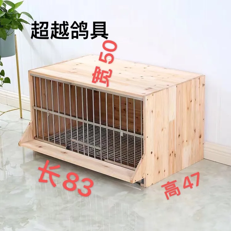 赛鸽巢箱鸽窝孵化养殖配对繁殖笼鸽子抱窝实木不绣钢配对信鸽笼子