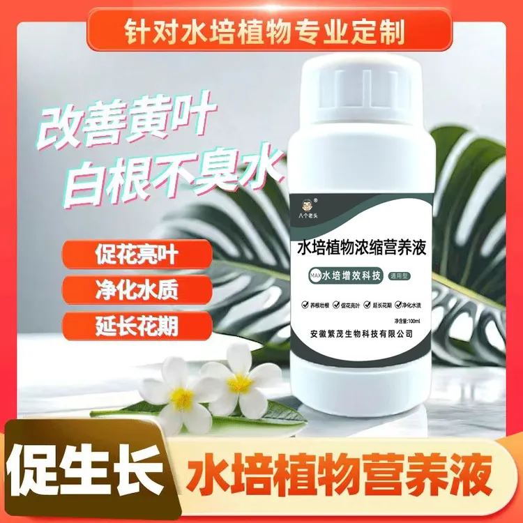 水培植物浓缩营养液观音竹富贵竹郁金香铜钱草通用不黄叶促生长