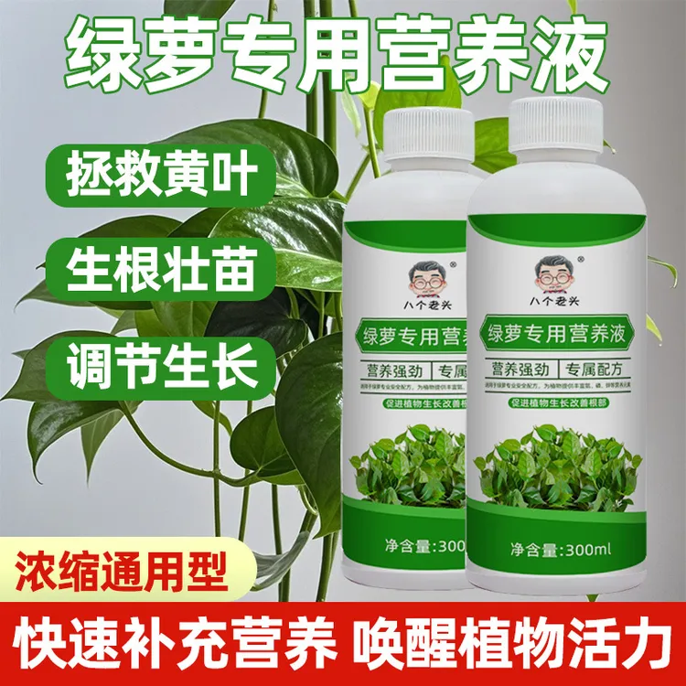 绿萝营养液专用肥养花肥料通用型土培水培