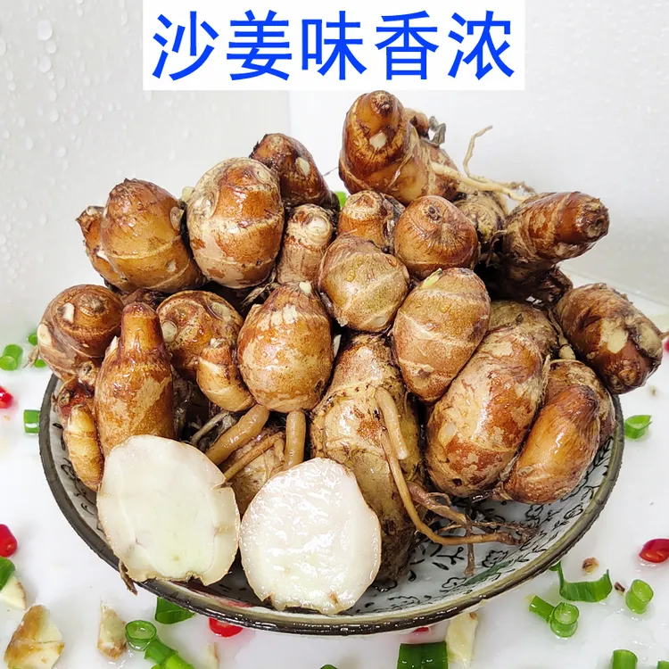 露天种植沙姜正宗广东化州新鲜三赖山奈白切鸡海南香浓沙姜椰子鸡