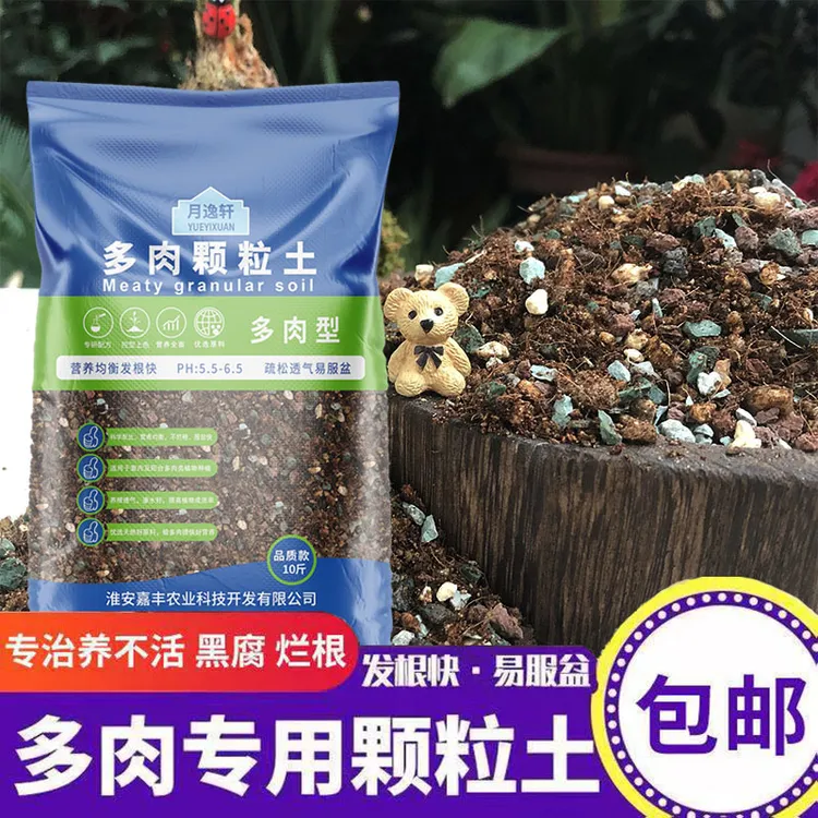 月逸轩多肉颗粒土铺面垫底专用颗粒70%颗粒法师多肉阳台花园通用