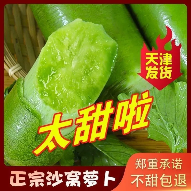 【顺丰包邮】天津正宗沙窝萝卜小沙沃甜脆冰绿皮绿心水果萝卜非潍坊