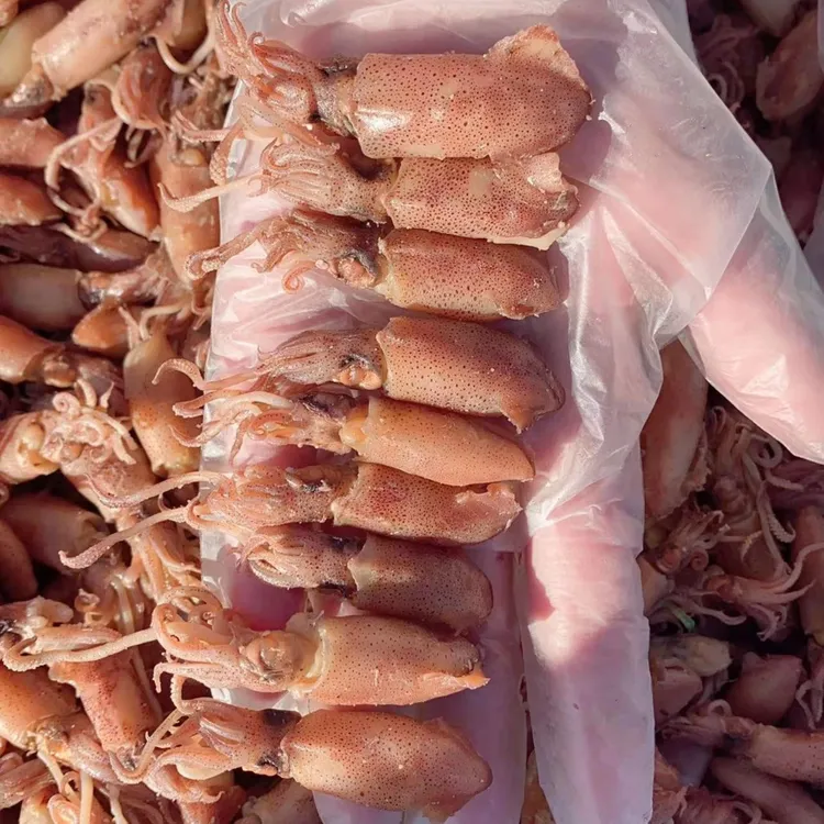  渤海湾熟大海兔又名熟笔管鱼2-3斤（3斤鲜海兔焯水出一斤熟海兔）商品图