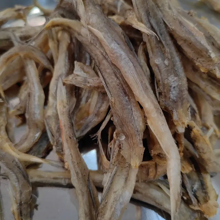 广东省汕尾本港那哥丁鱼脯（微咸）